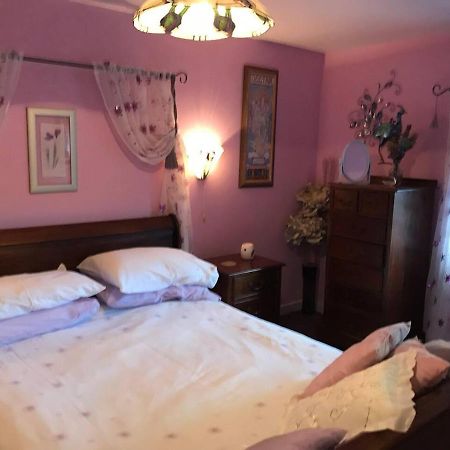 Cosy Cottage For Ecotourism Lovers Near Corwen Dış mekan fotoğraf