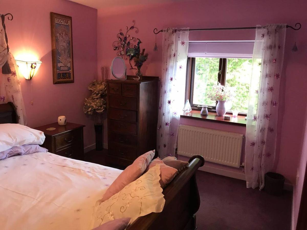 Cosy Cottage For Ecotourism Lovers Near Corwen Dış mekan fotoğraf