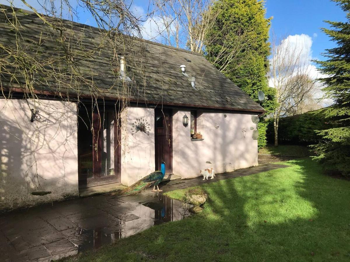 Cosy Cottage For Ecotourism Lovers Near Corwen Dış mekan fotoğraf