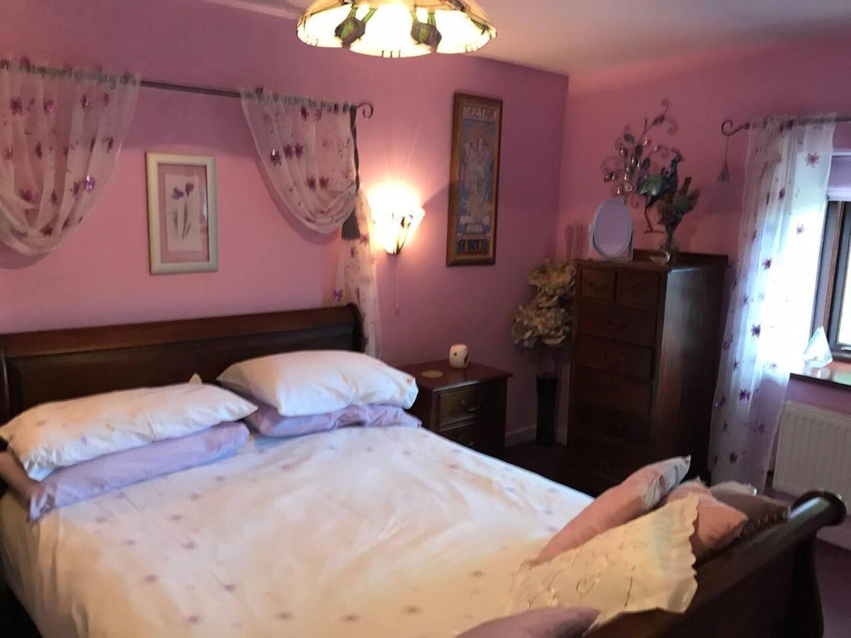 Cosy Cottage For Ecotourism Lovers Near Corwen Dış mekan fotoğraf