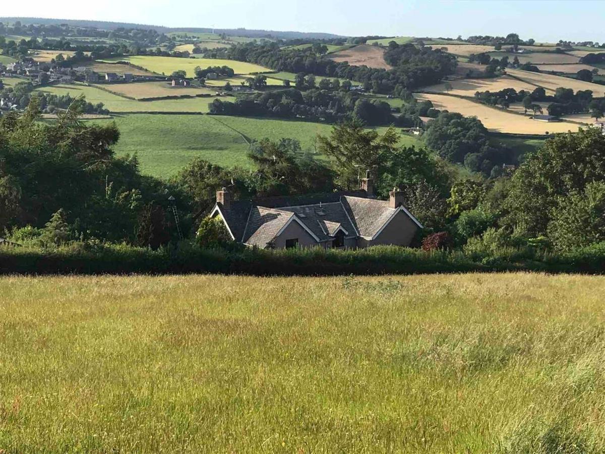 Cosy Cottage For Ecotourism Lovers Near Corwen Dış mekan fotoğraf
