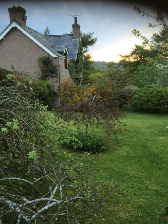 Cosy Cottage For Ecotourism Lovers Near Corwen Dış mekan fotoğraf