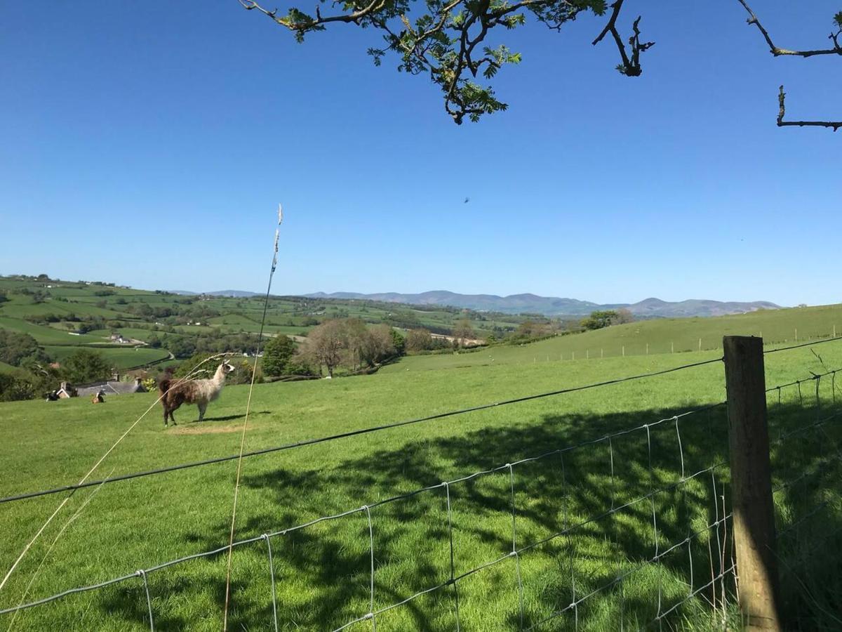 Cosy Cottage For Ecotourism Lovers Near Corwen Dış mekan fotoğraf